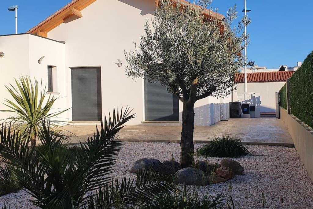 Maison Bord De Mer Refaite A Neuf Canet-en-Roussillon Dış mekan fotoğraf